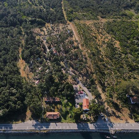 Parque De Campismo Orbitur Sao Jacinto Ξενοδοχείο Εξωτερικό φωτογραφία